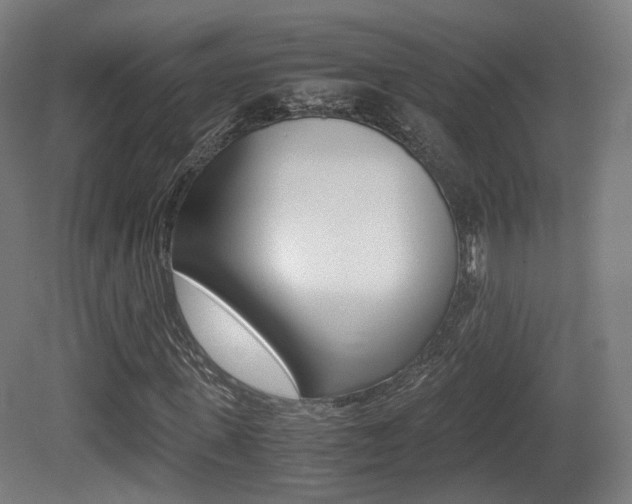X0000081390915200701111202