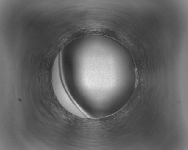 X0000081390916200701111202