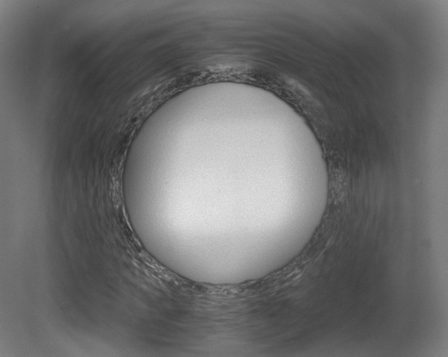 X0000081390917200701111202