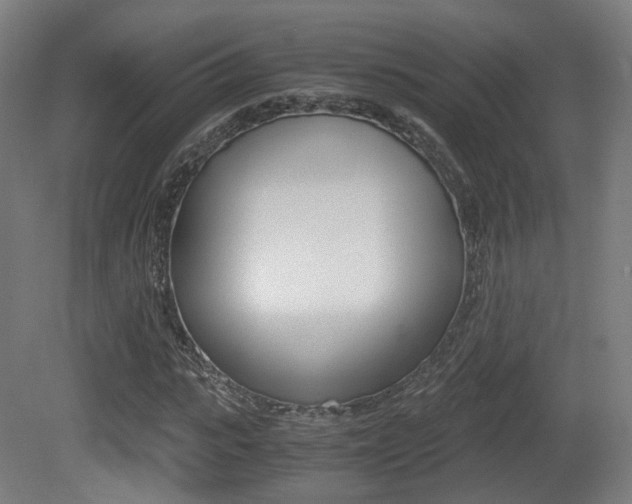 X0000081390919200701111202