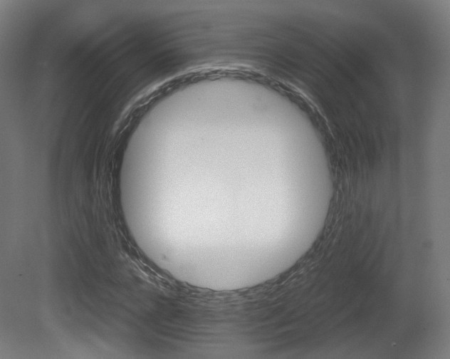 X0000081390920200701111202