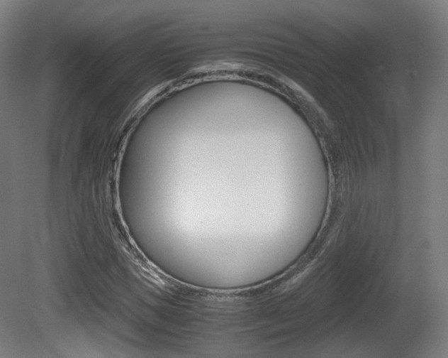 X0000081390921200701111203