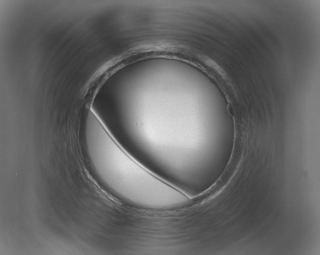 X0000081390922200701111203