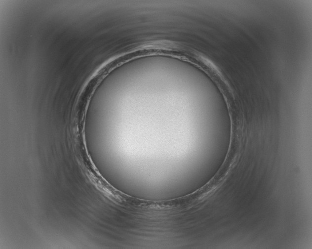 X0000081390923200701111203