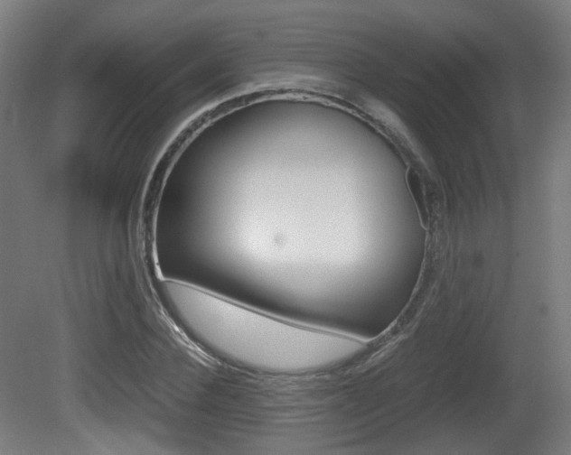 X0000081390924200701111203