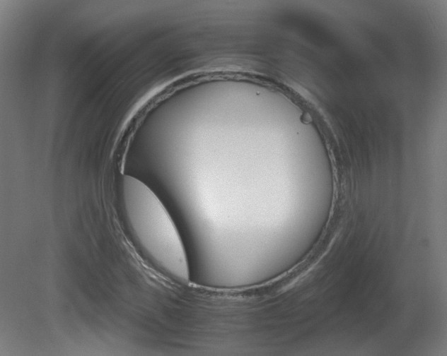 X0000081390925200701111203