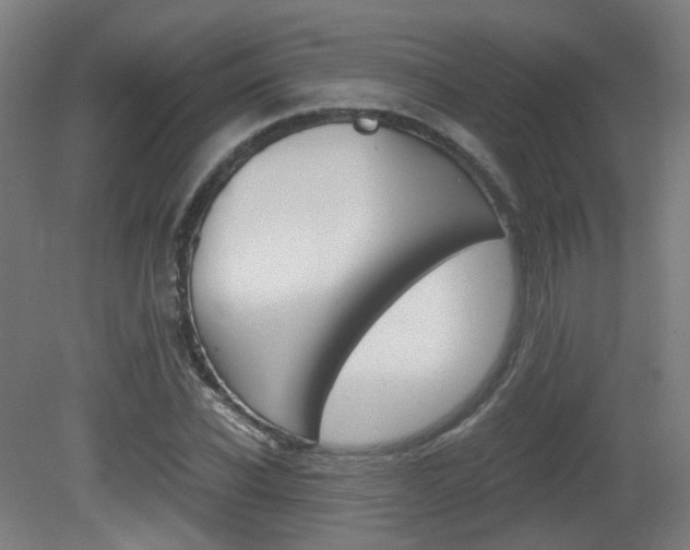 X0000081390926200701111203