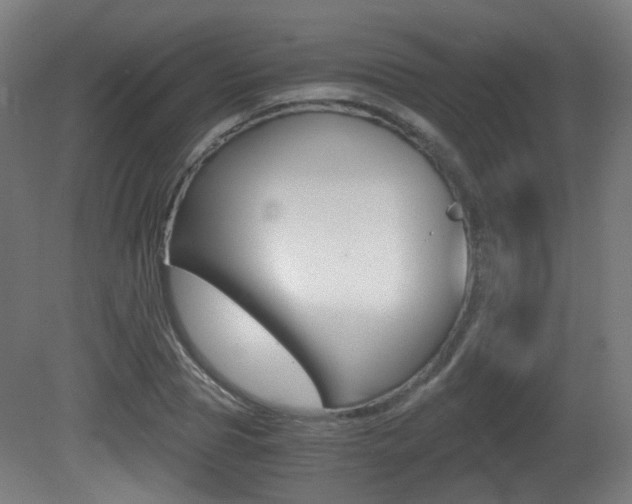 X0000081390929200701111203
