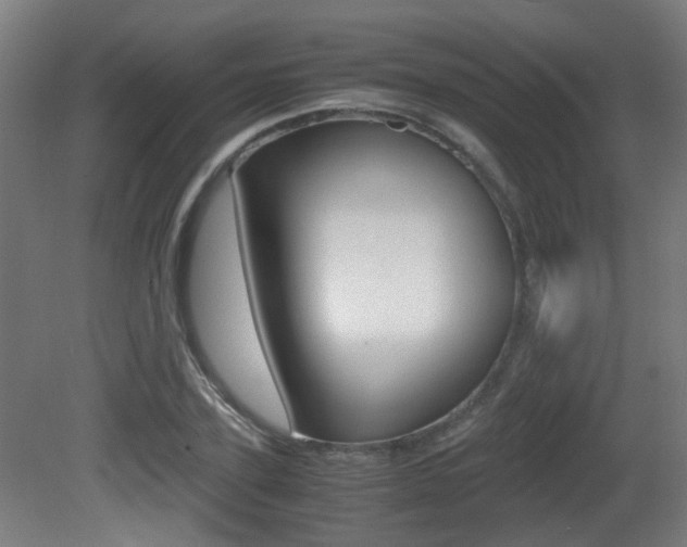 X0000081390931200701111203