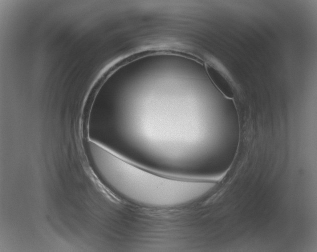 X0000081390932200701111203