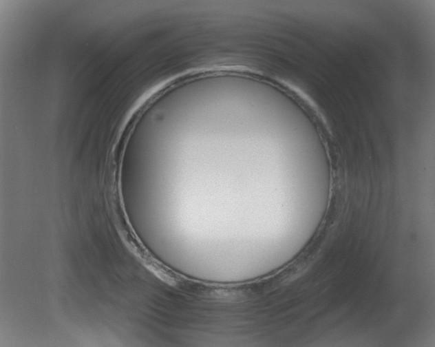 X0000081390933200701111203