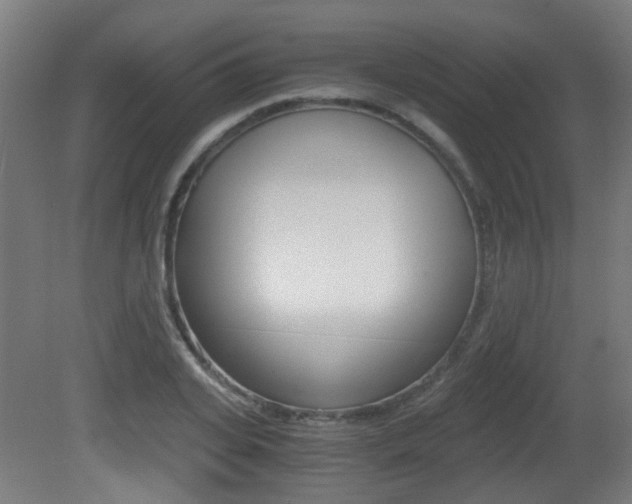 X0000081390935200701111203