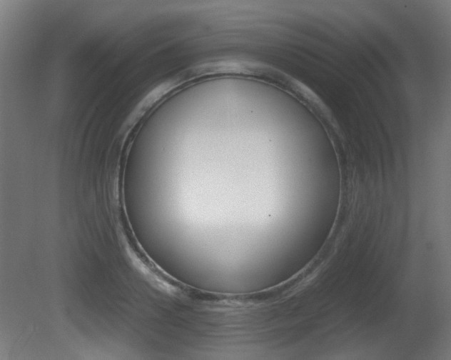 X0000081390938200701111203