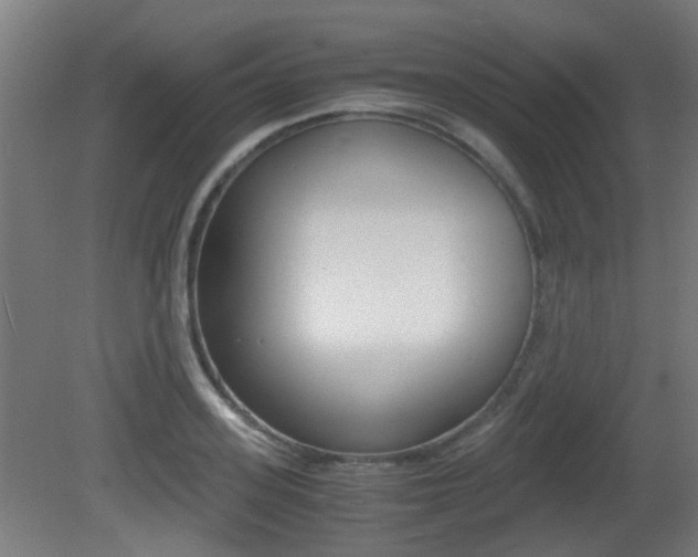 X0000081390939200701111203