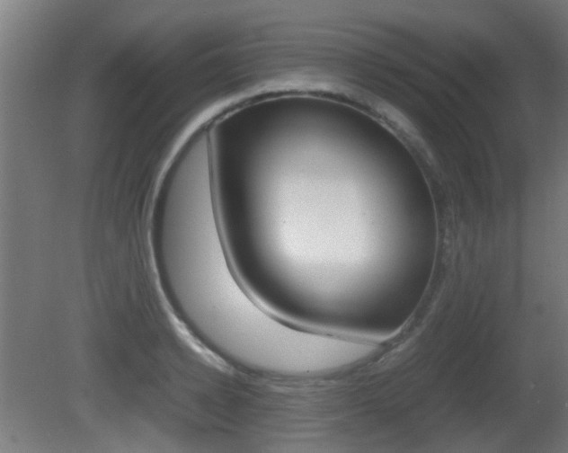 X0000081390942200701111203