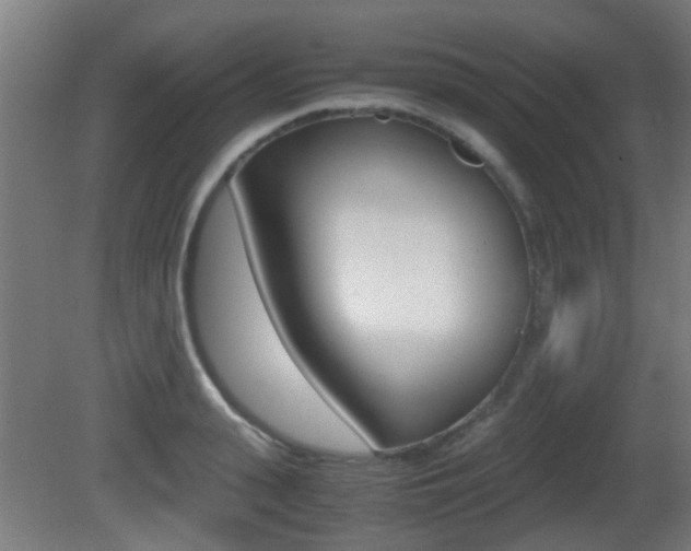 X0000081390943200701111203