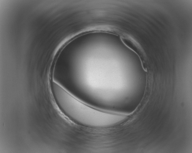 X0000081390944200701111203