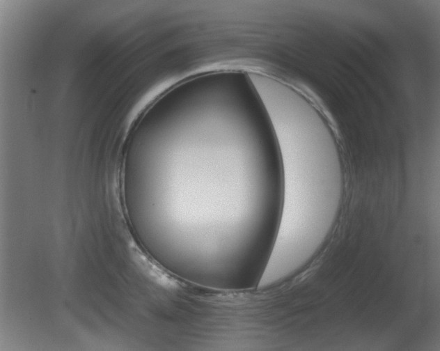 X0000081390952200701111203