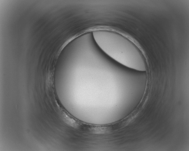 X0000081390953200701111203