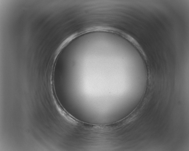 X0000081390954200701111203