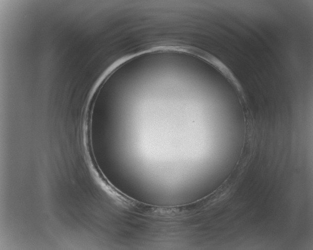 X0000081390955200701111203