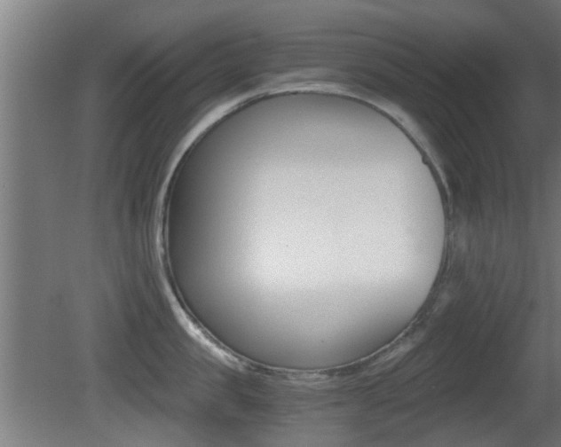 X0000081390957200701111203