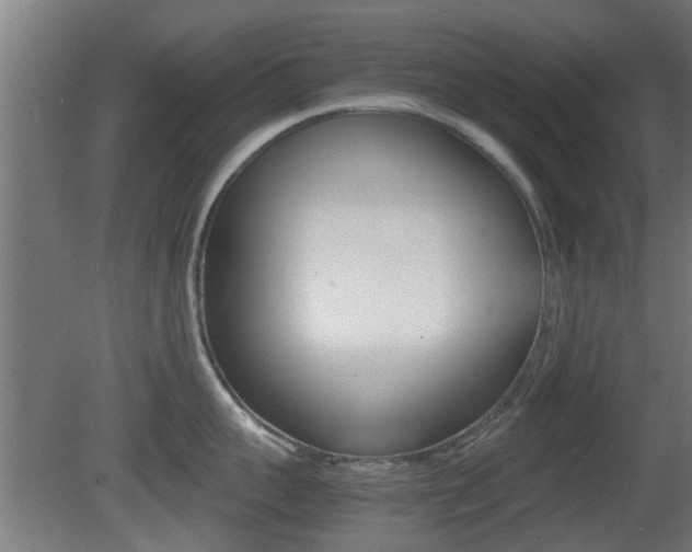 X0000081390959200701111203