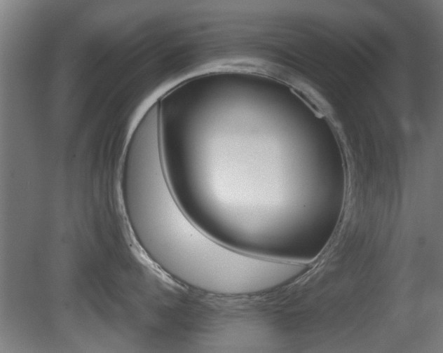 X0000081390960200701111203