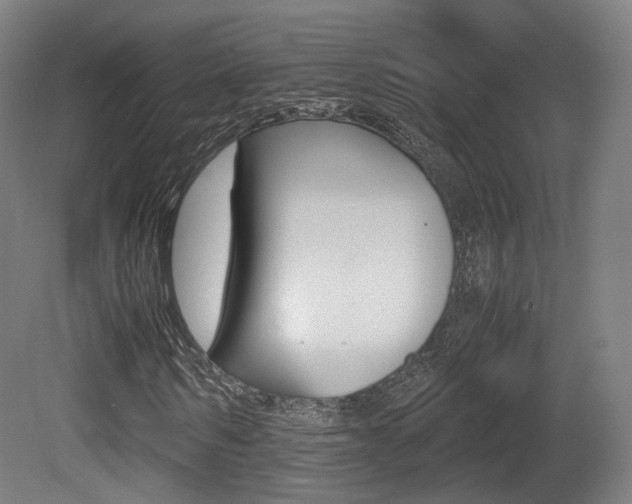 X0000081390962200701111202