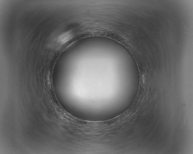 X0000081390963200701111202