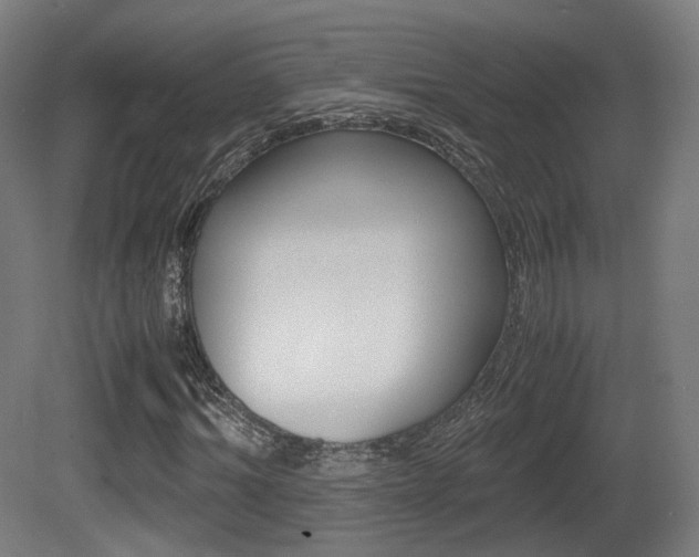 X0000081390964200701111202