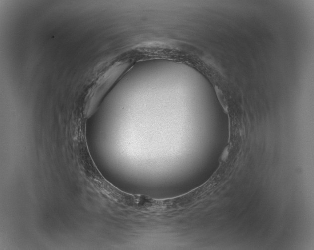 X0000081390965200701111202