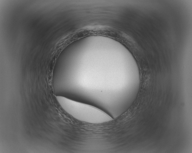 X0000081390966200701111202