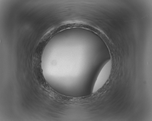 X0000081390967200701111202