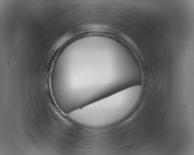 X0000081390970200701111202