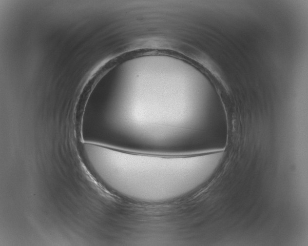 X0000081390972200701111202