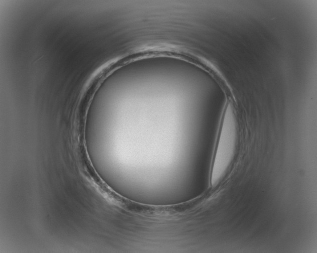 X0000081390979200701111202