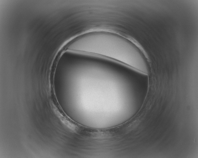 X0000081390980200701111202