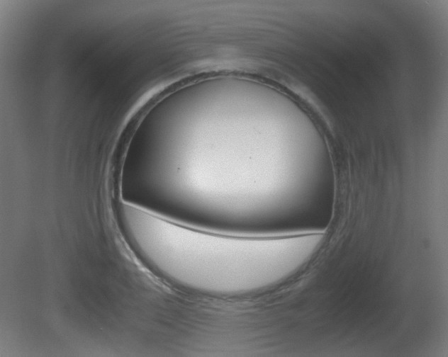 X0000081390983200701111202