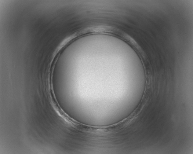 X0000081390986200701111202