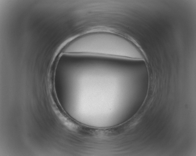 X0000081390987200701111202