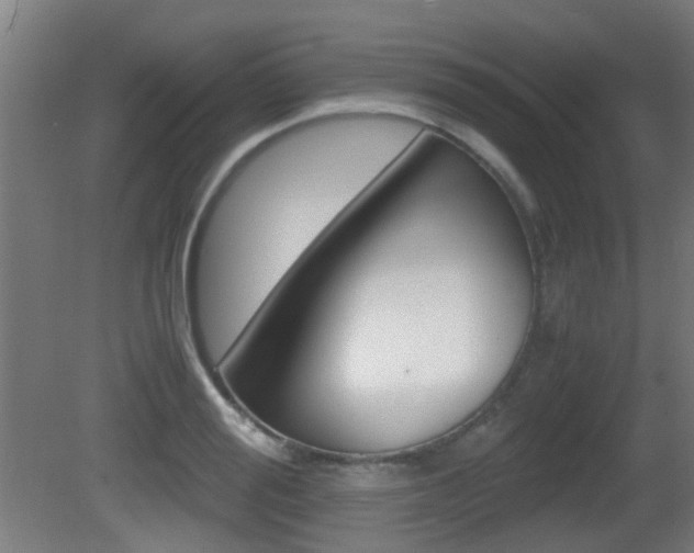 X0000081390988200701111202