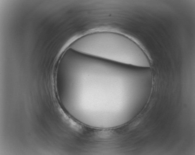 X0000081390998200701111202