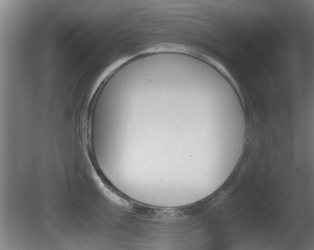 X0000081391003200701111202