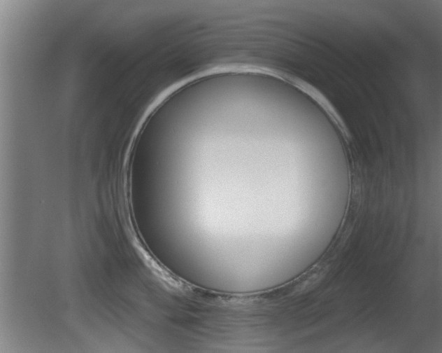 X0000081391004200701111202