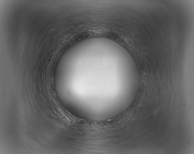 X0000081391009200701111201