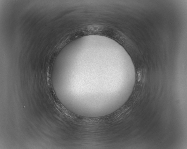 X0000081391011200701111201