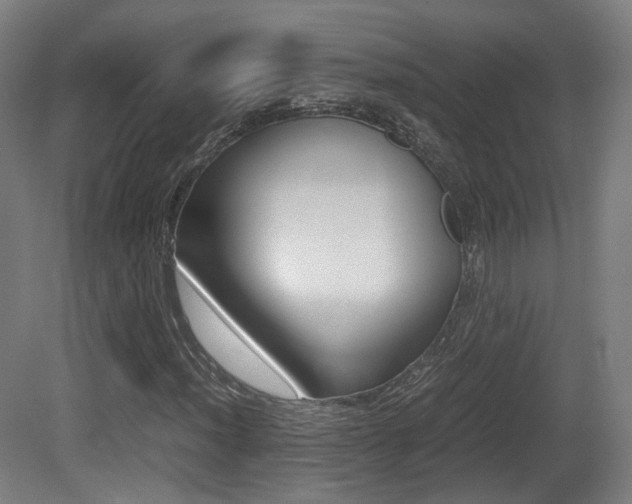 X0000081391012200701111201