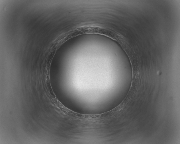 X0000081391014200701111201