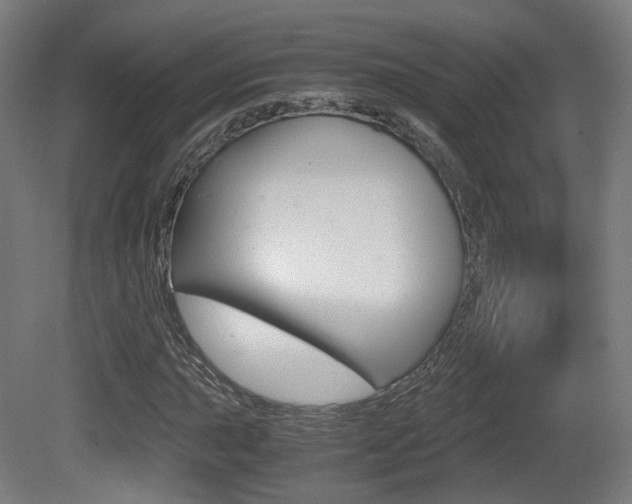 X0000081391015200701111201